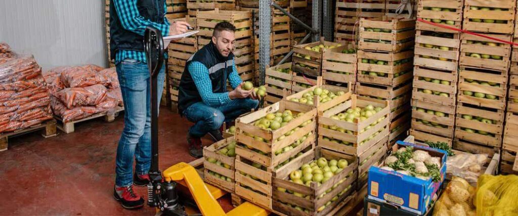 Cold chain warehouses workers inspecting producte