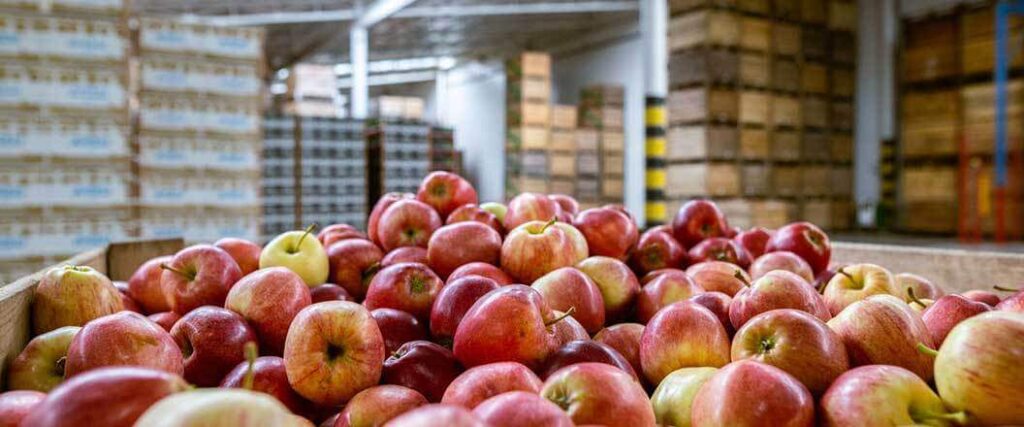 Apples receiving the benefits of temperature controlled shipping in a crate at a warehouse