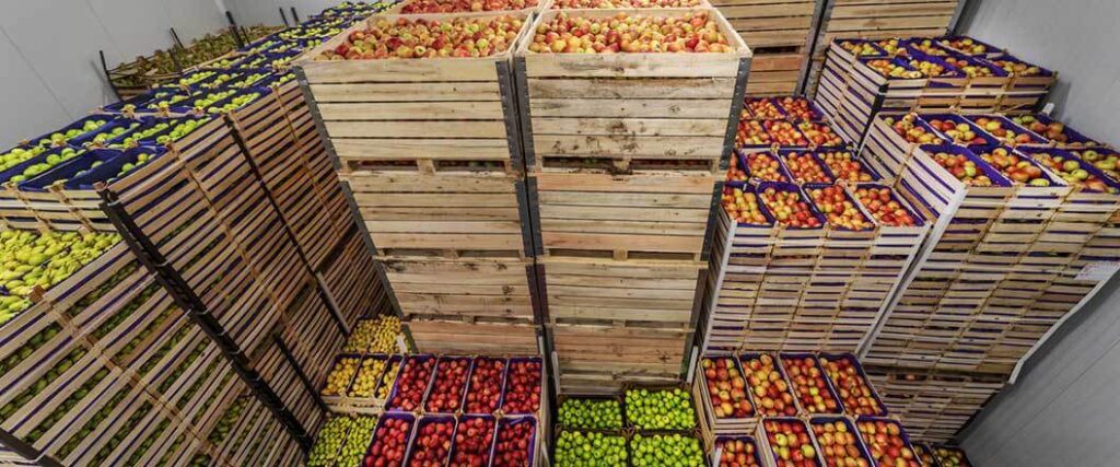 Stacked crates of fruits and vegetables