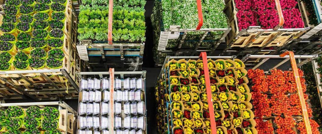 Shelves with bouquets of flowers on them