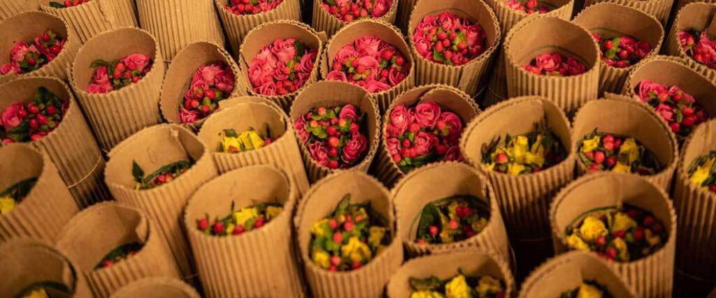 Flowers wrapped in thin sheets of cardboard