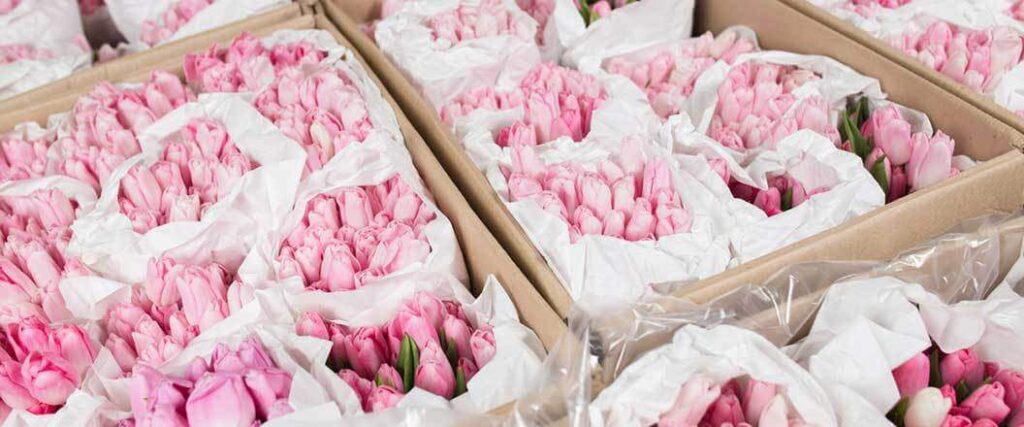 Multiple bouquets of red and pink flowers