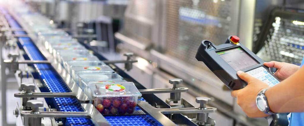 A warehouse workers overseeing a conveyor line of packaged grapes