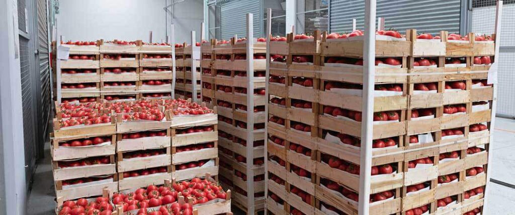 Tomatoes inside of stacked crates