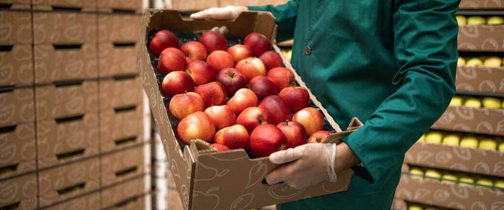 A workers that's learning how to ship fresh produce while holding crate of apples