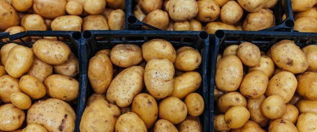 An overhead view of several bushels of potatoes.